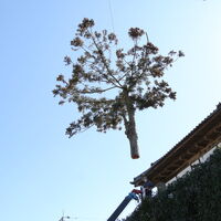 画像1333